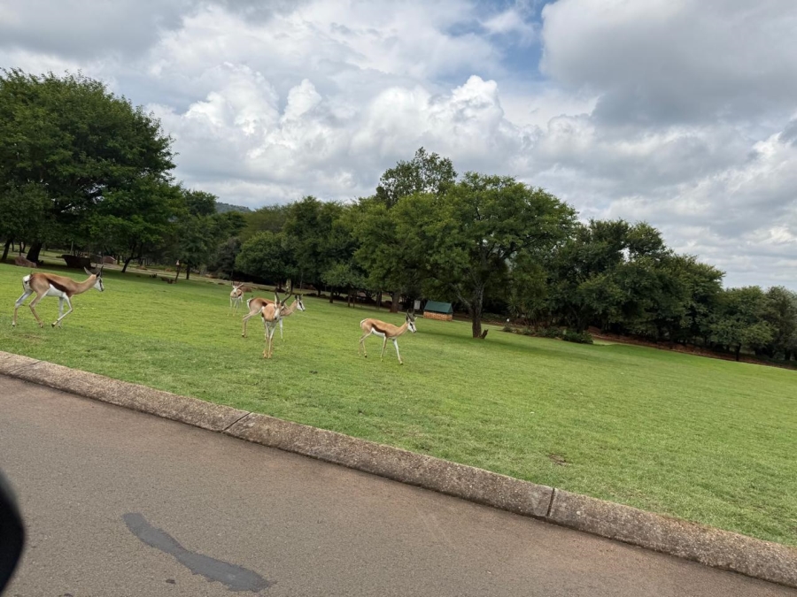 0 Bedroom Property for Sale in Buffelspoort Eco Estate North West